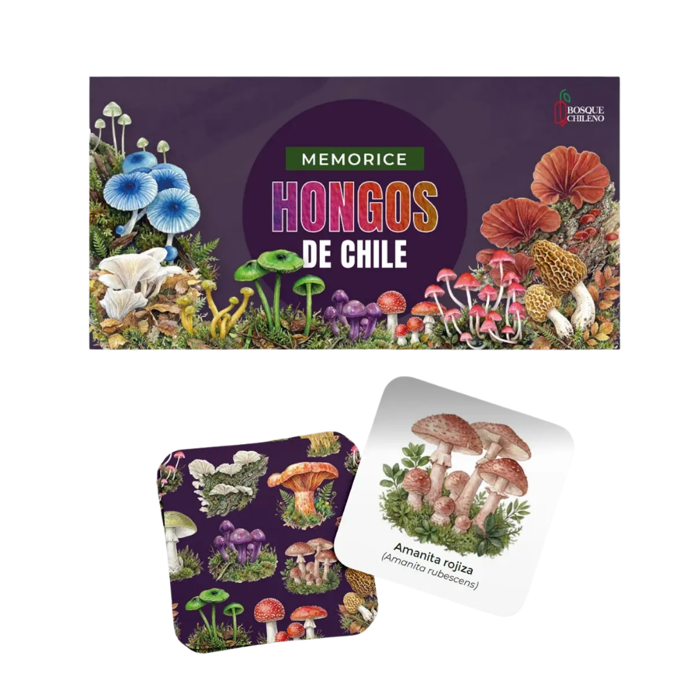 Juego De Mesa Memorice Hongos Nativos De Chile Ilustraciones