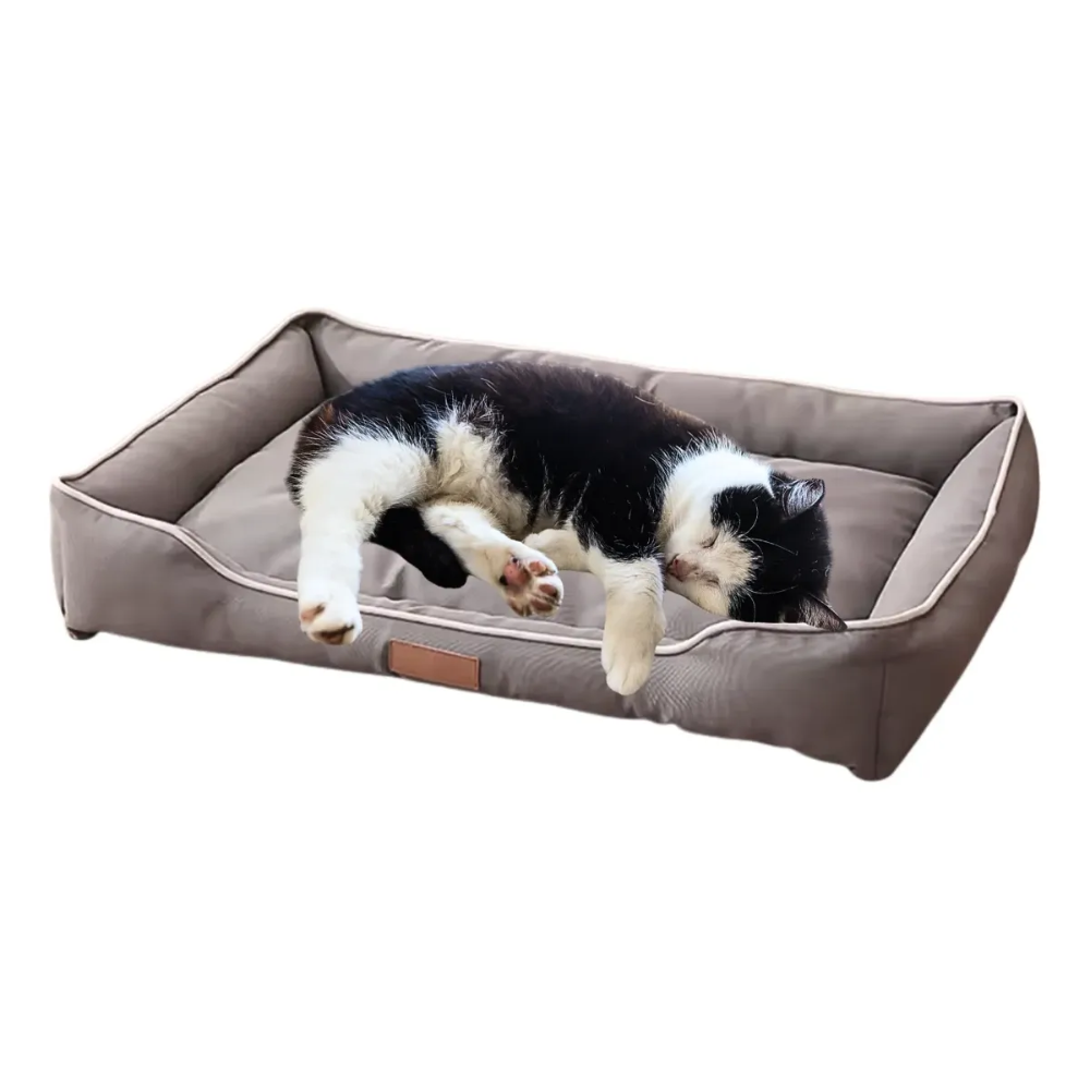 Cama Perros Pequeños Gatos Acolchada 47x34x9cm Tela Oxford