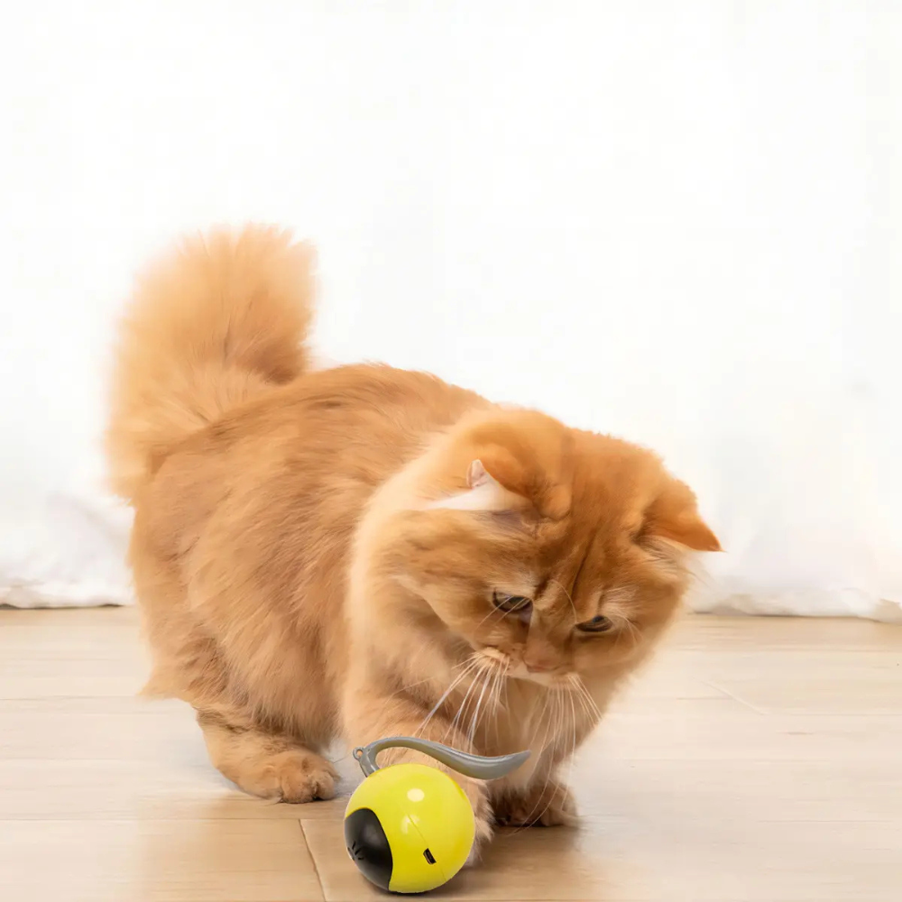 Juguete Gato Interactivo Pelota Inteligente Recargable USB