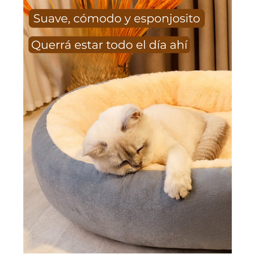 Cama Gatos Perros Suave Acolchada Chiporro Mascotas 60x48cm