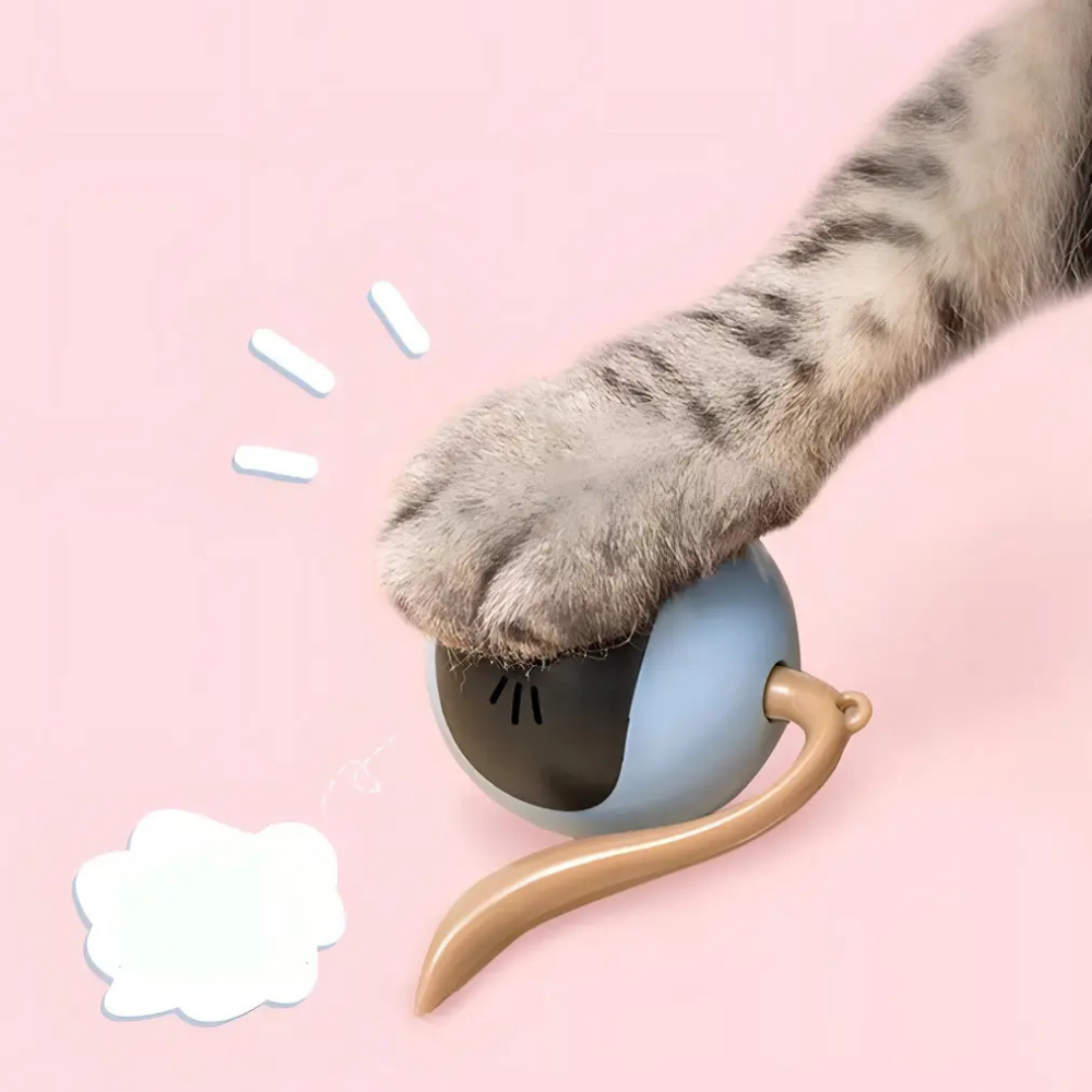 Juguete Gato Interactivo Pelota Inteligente Recargable USB