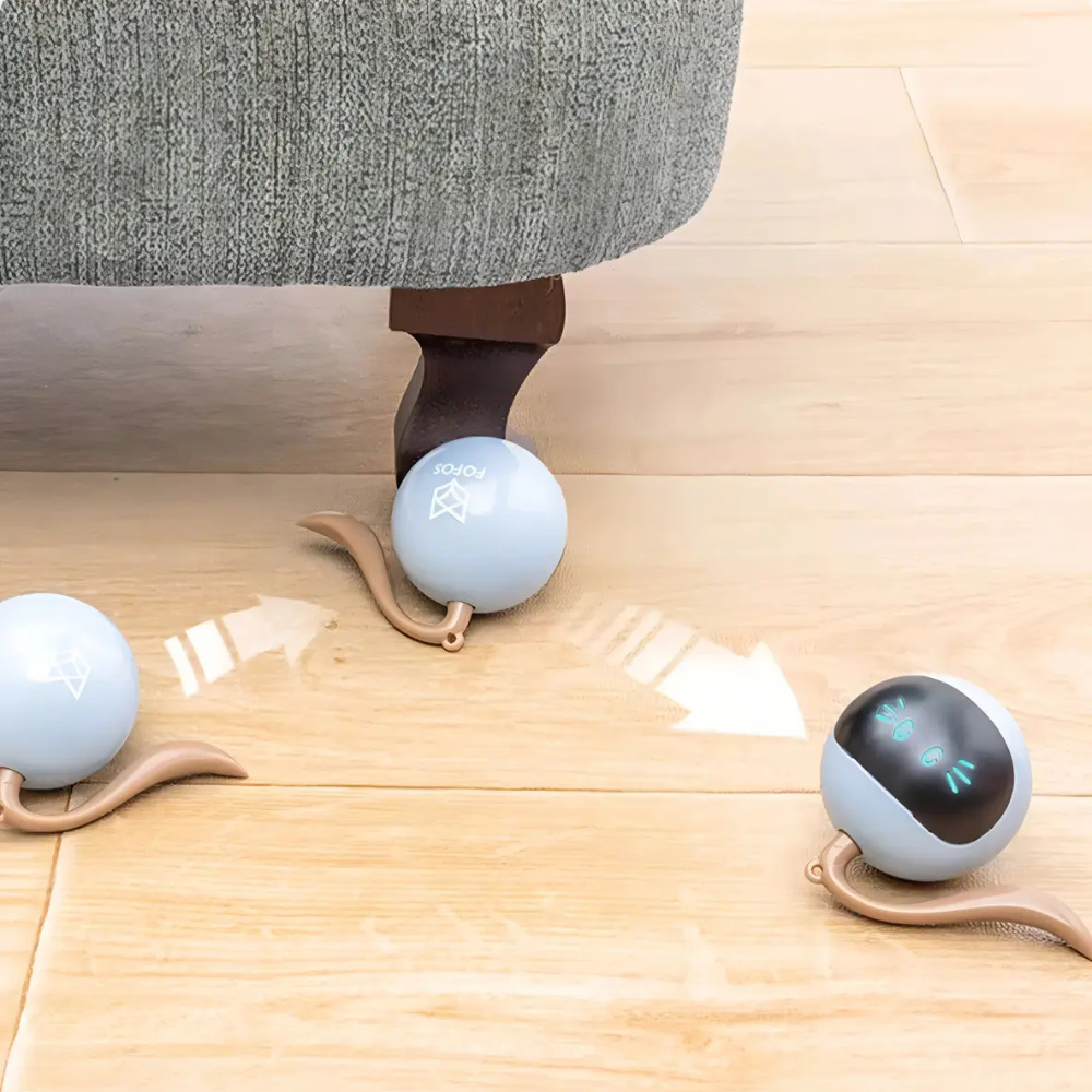 Juguete Gato Interactivo Pelota Inteligente Recargable USB
