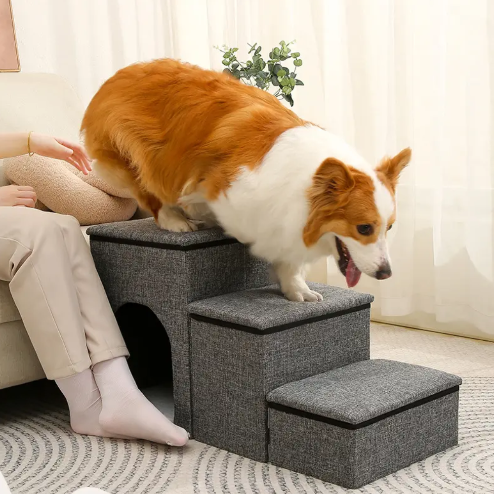 Cama y Escalera 2 En 1 Acolchada Para Mascota Plegable